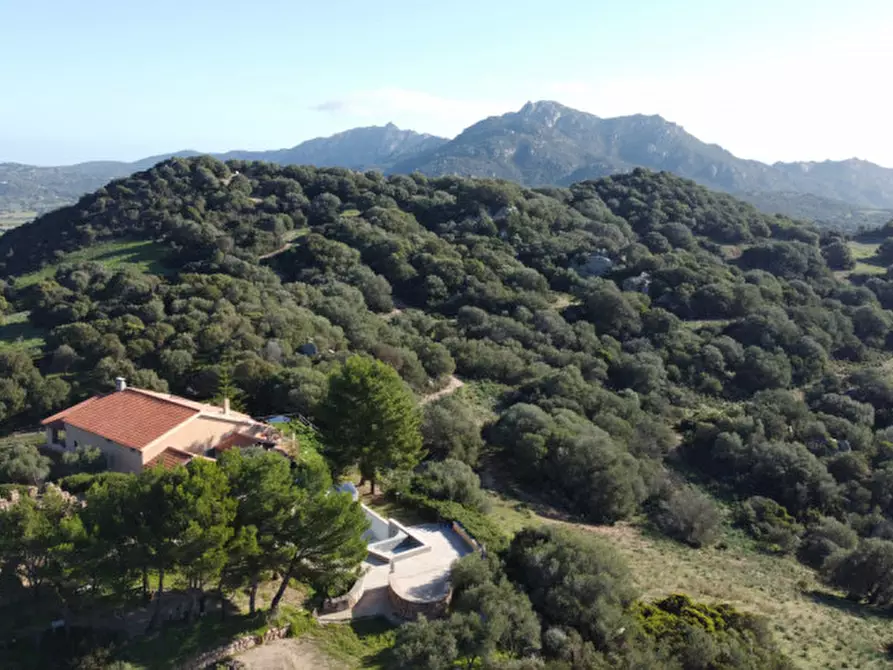 Immagine 12 di Villa in vendita  in via plebi 48 a Olbia