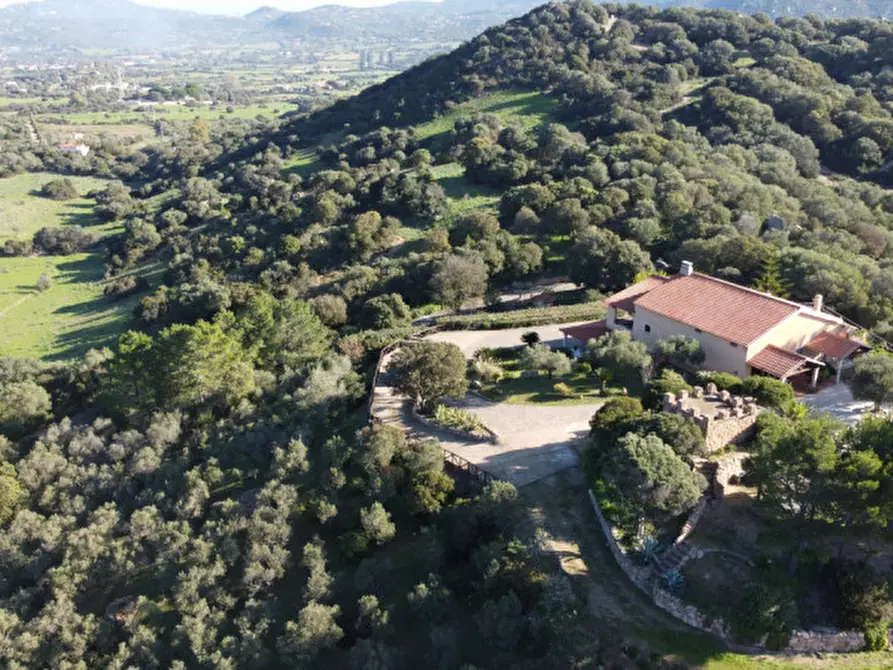 Immagine 13 di Villa in vendita  in via plebi 48 a Olbia