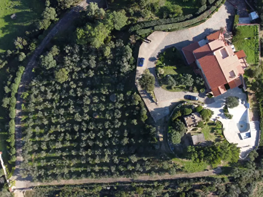 Immagine 14 di Villa in vendita  in via plebi 48 a Olbia