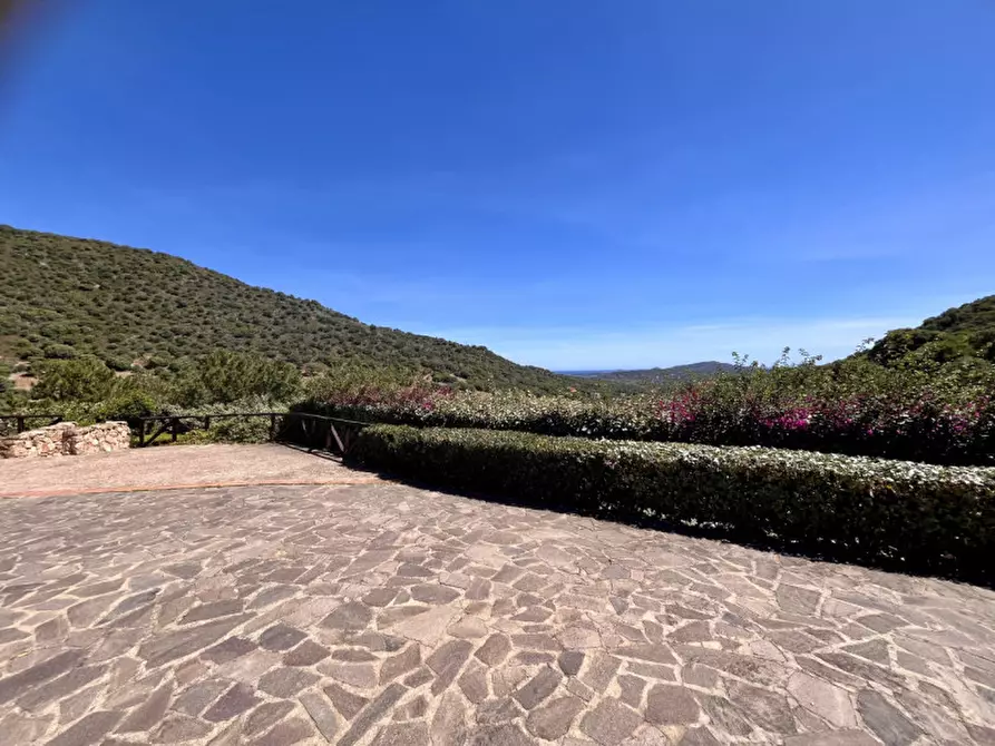 Immagine 15 di Villa in vendita  in via plebi 48 a Olbia