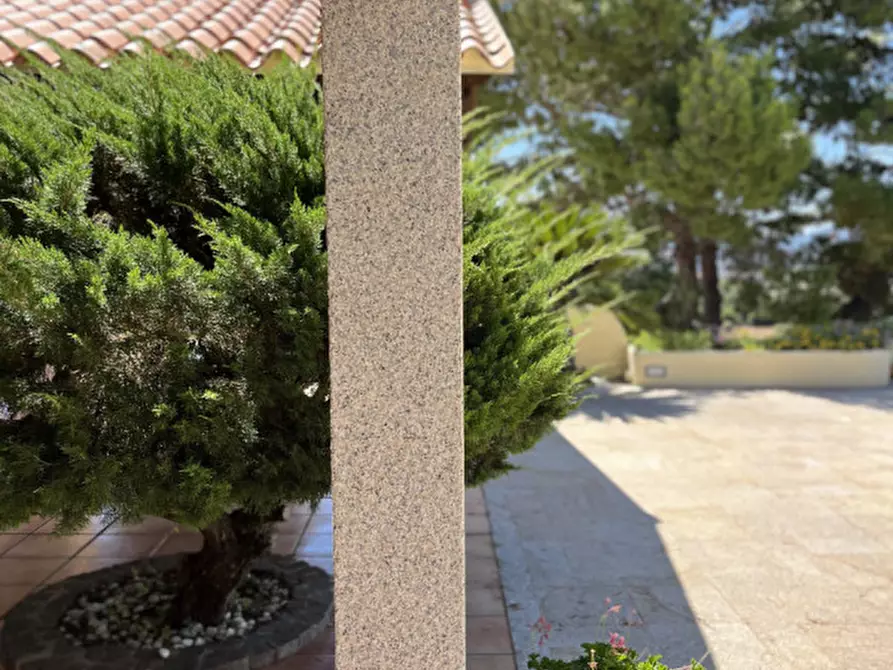 Immagine 19 di Villa in vendita  in via plebi 48 a Olbia