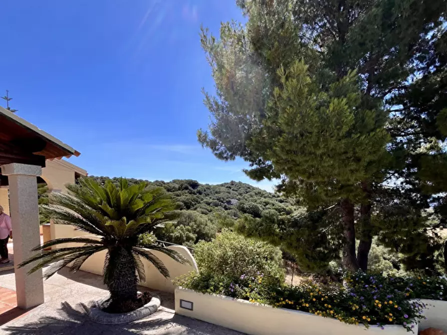 Immagine 20 di Villa in vendita  in via plebi 48 a Olbia