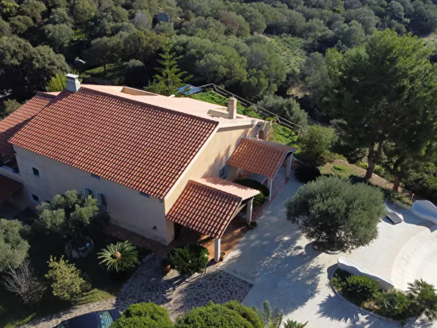 Immagine 23 di Villa in vendita  in via plebi 48 a Olbia