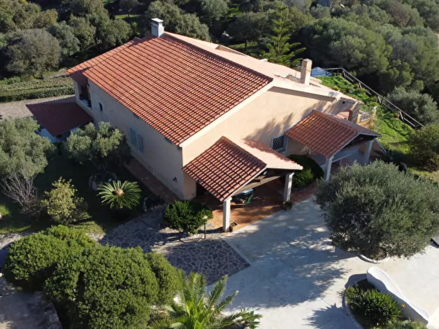 Immagine 24 di Villa in vendita  in via plebi 48 a Olbia