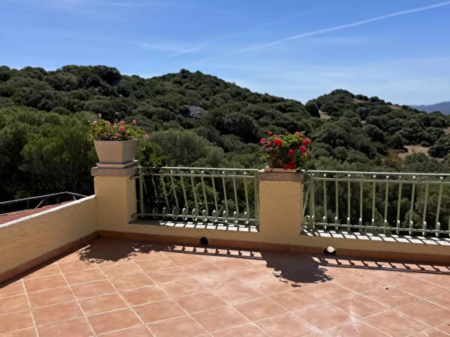 Immagine 27 di Villa in vendita  in via plebi 48 a Olbia