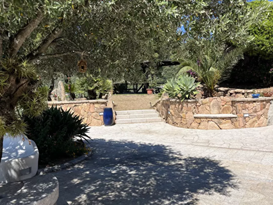 Immagine 31 di Villa in vendita  in via plebi 48 a Olbia