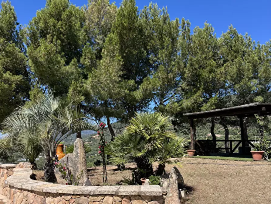 Immagine 32 di Villa in vendita  in via plebi 48 a Olbia