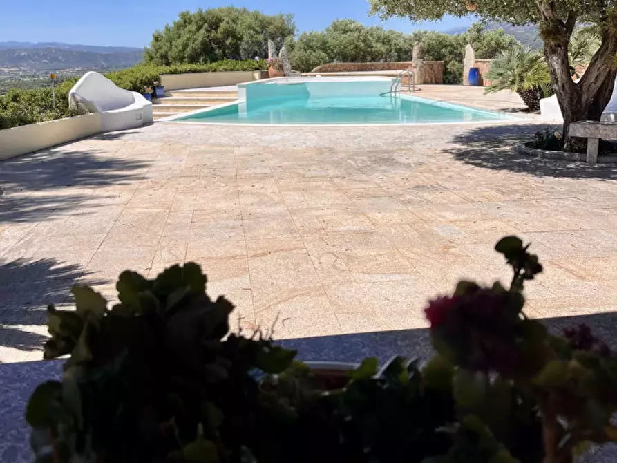 Immagine 38 di Villa in vendita  in via plebi 48 a Olbia