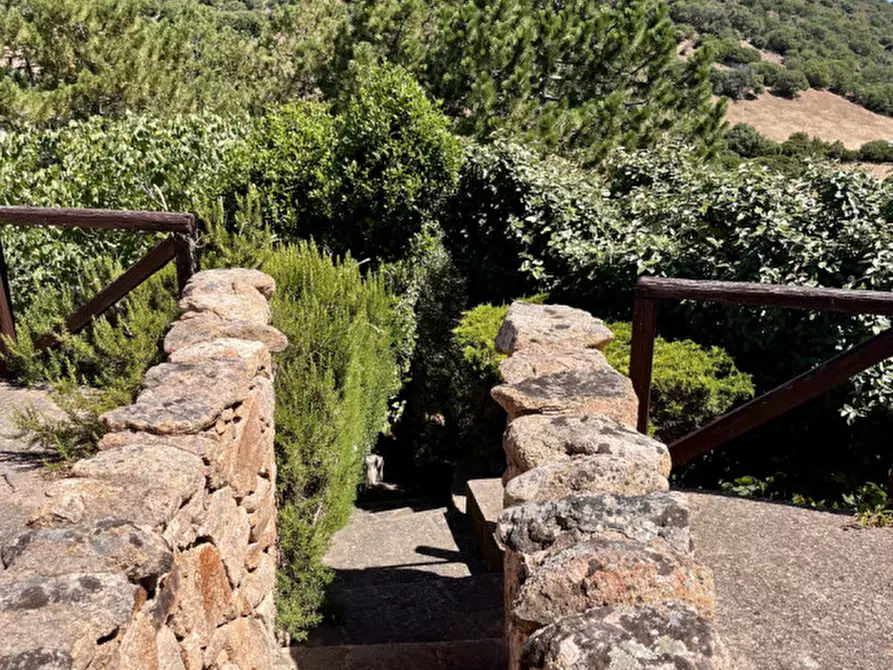 Immagine 39 di Villa in vendita  in via plebi 48 a Olbia