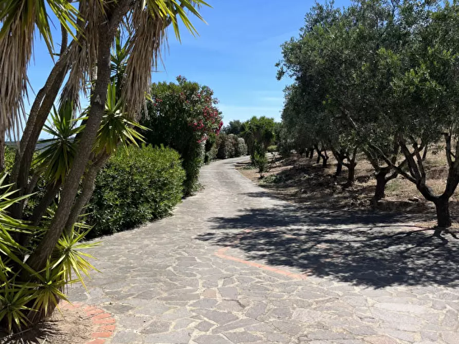 Immagine 40 di Villa in vendita  in via plebi 48 a Olbia