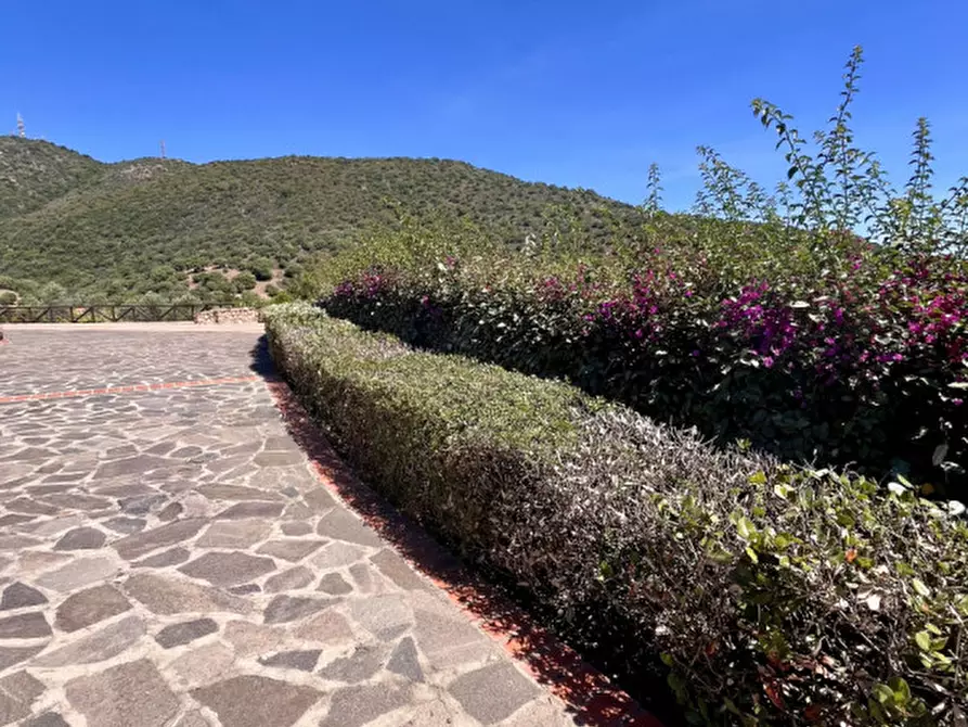 Immagine 41 di Villa in vendita  in via plebi 48 a Olbia