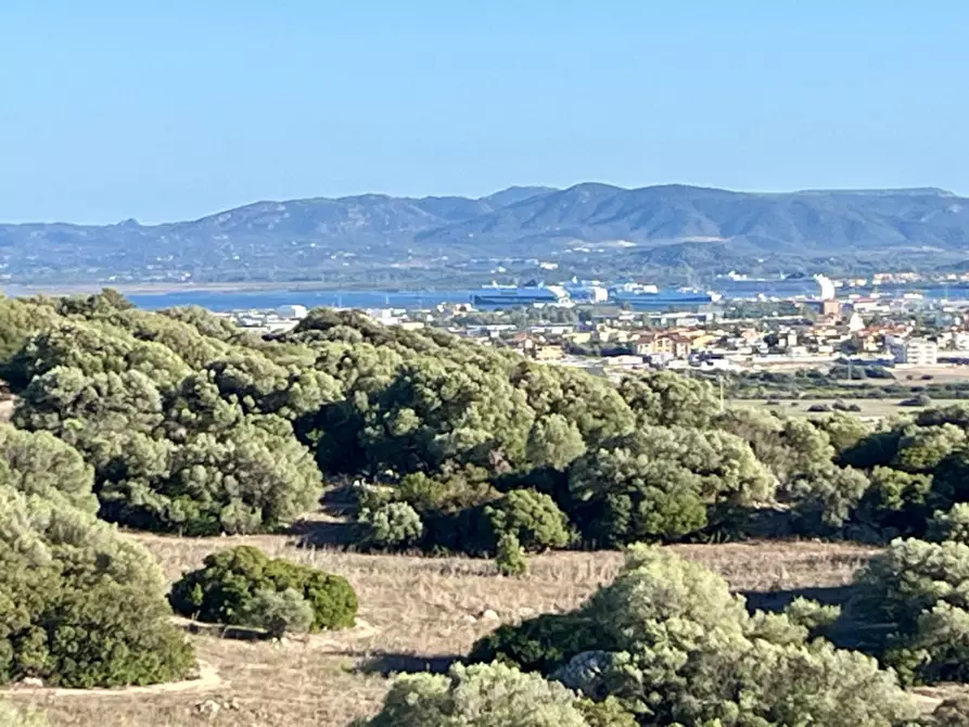 Immagine 43 di Villa in vendita  in via plebi 48 a Olbia