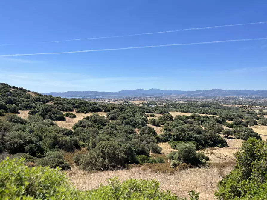 Immagine 44 di Villa in vendita  in via plebi 48 a Olbia