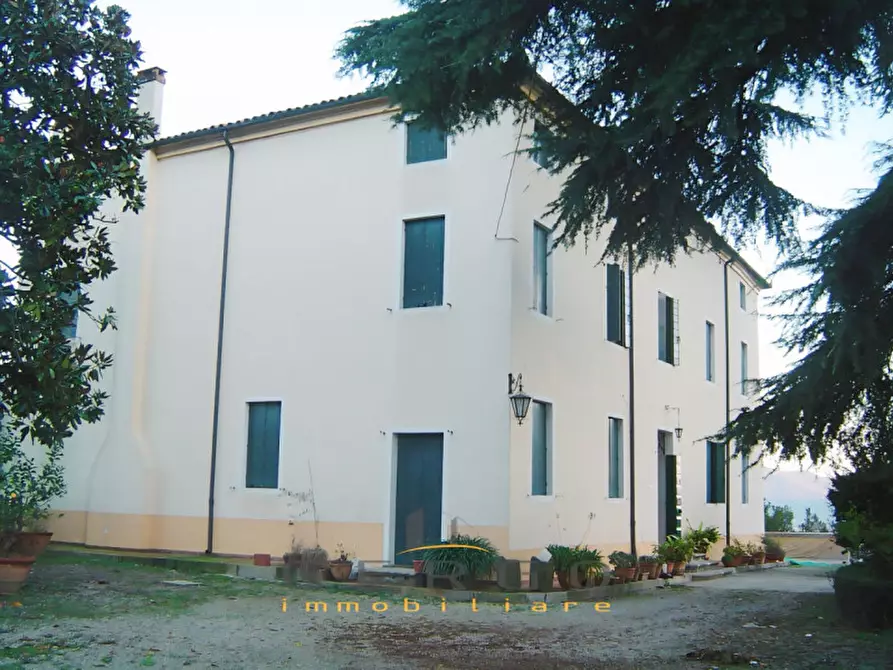 Immagine 14 di Villa in vendita  in Via Siesa a Galzignano Terme