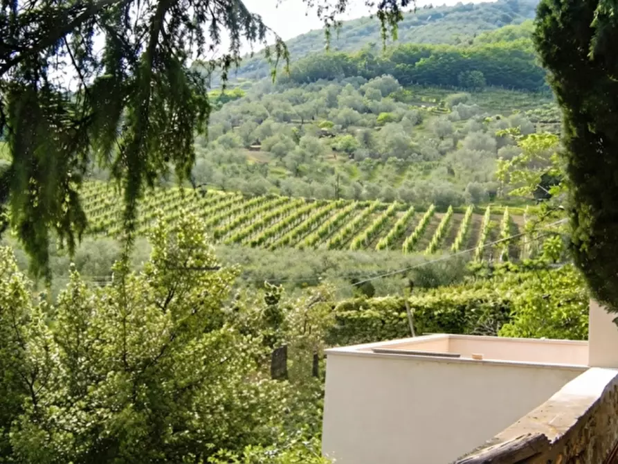Immagine 16 di Villa in vendita  in Via Siesa a Galzignano Terme