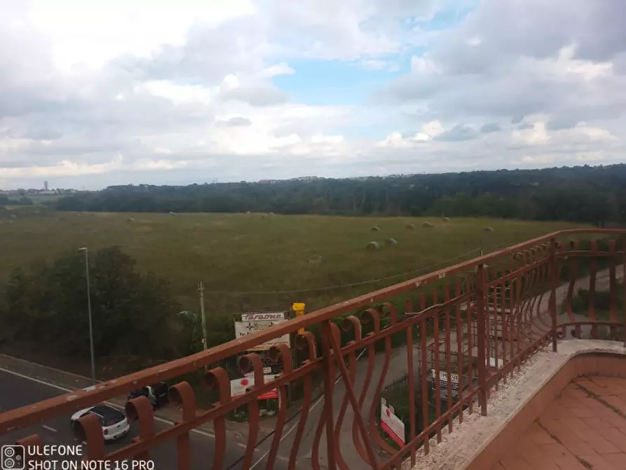 Immagine 11 di Attico in affitto  in via robbio a Roma