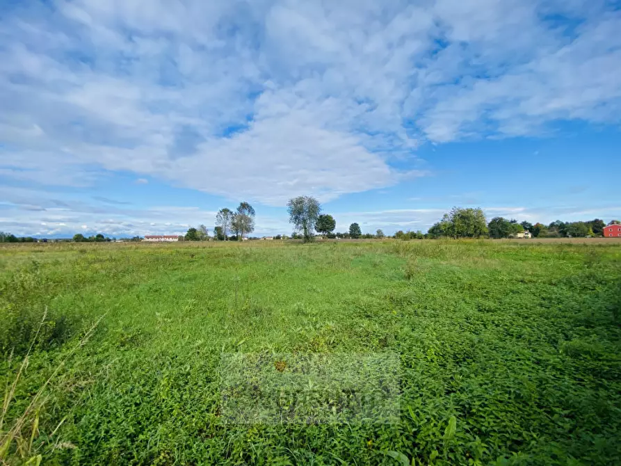 Immagine 1 di Terreno in vendita  in via sabbadina a Borgoricco