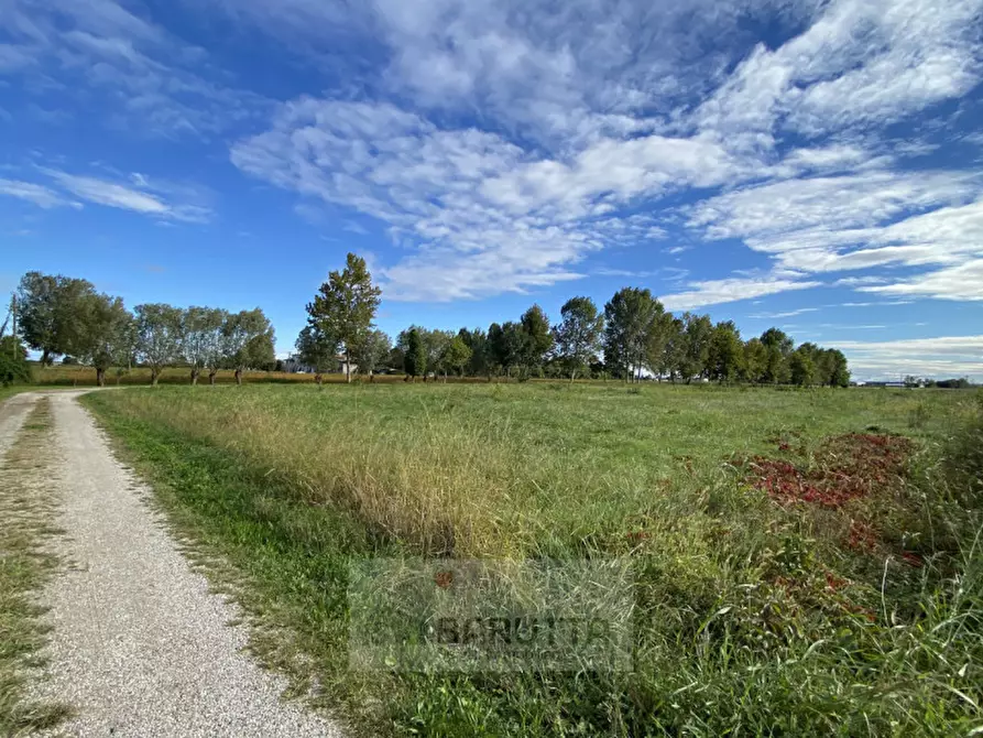 Immagine 3 di Terreno in vendita  in via sabbadina a Borgoricco