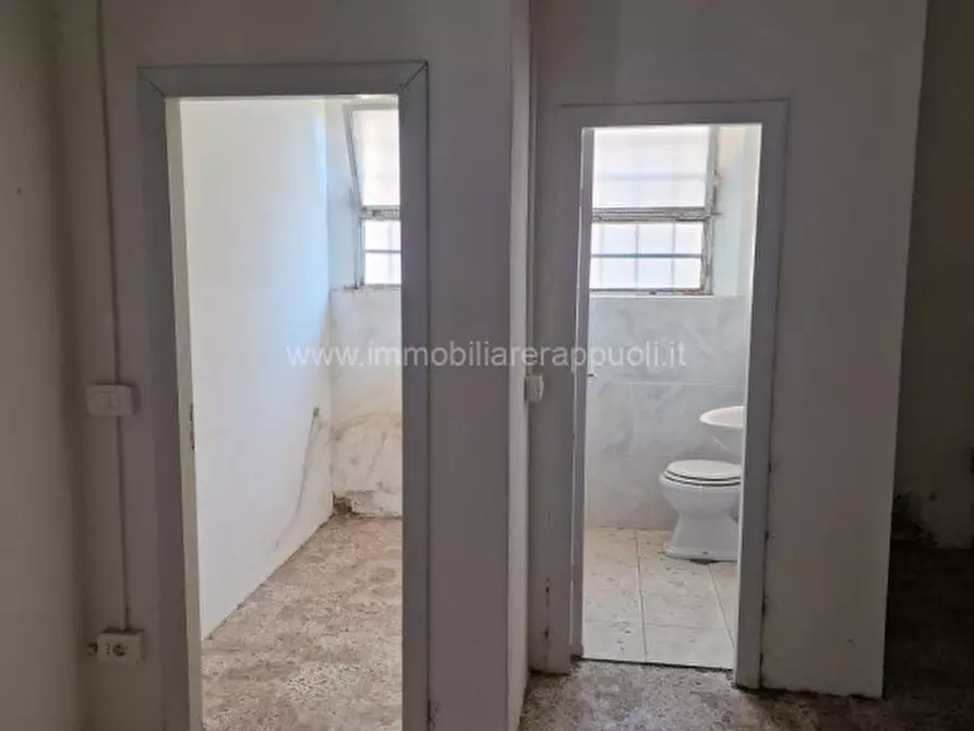 Immagine 11 di Attività commerciale in vendita  a Torrita Di Siena