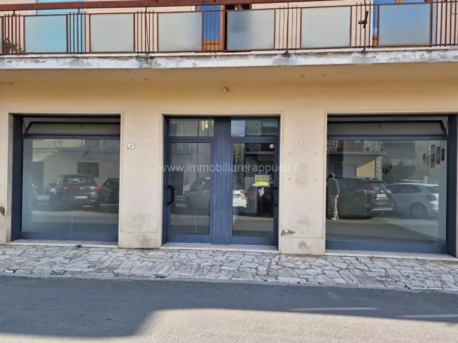 Immagine 12 di Attività commerciale in vendita  a Torrita Di Siena