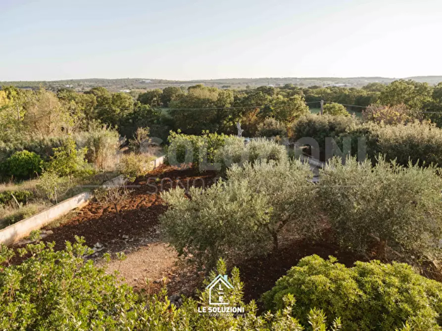 Immagine 15 di Villa in vendita  in strada comunale pozzo caterina a Putignano