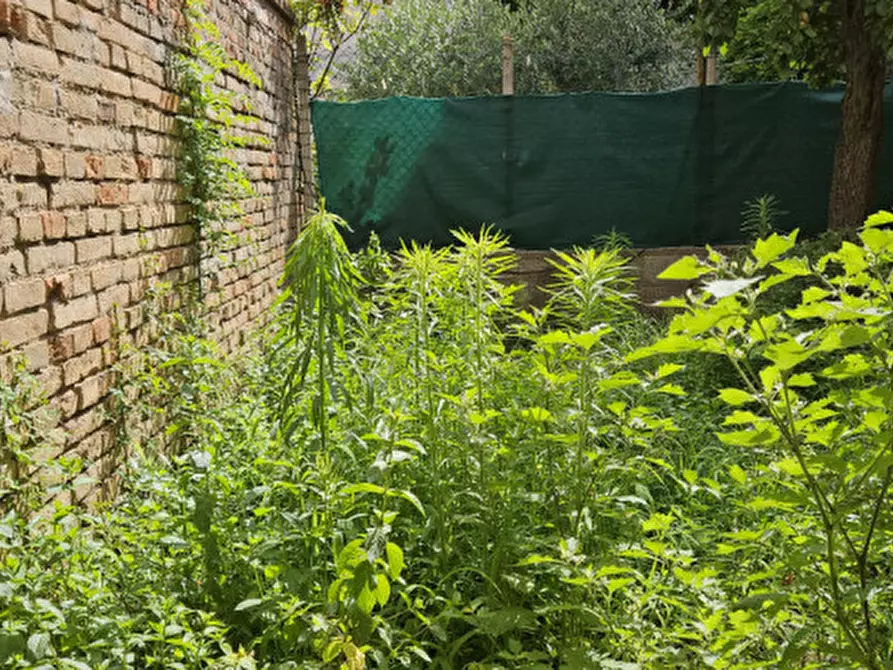 Immagine 2 di Appartamento in vendita  in Via Guido Negri a Este