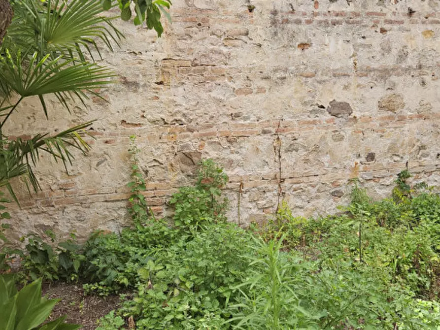 Immagine 3 di Appartamento in vendita  in Via Guido Negri a Este