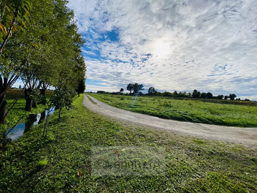 Immagine 1 di Terreno in vendita  in via pelosa 152 a Borgoricco