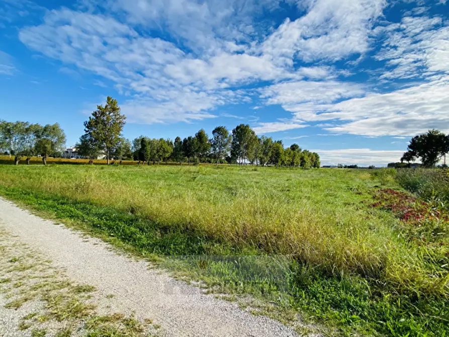 Immagine 2 di Terreno in vendita  in via pelosa 152 a Borgoricco