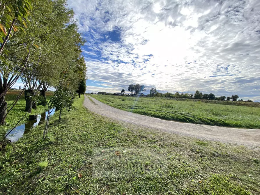 Immagine 4 di Terreno in vendita  in via pelosa 152 a Borgoricco