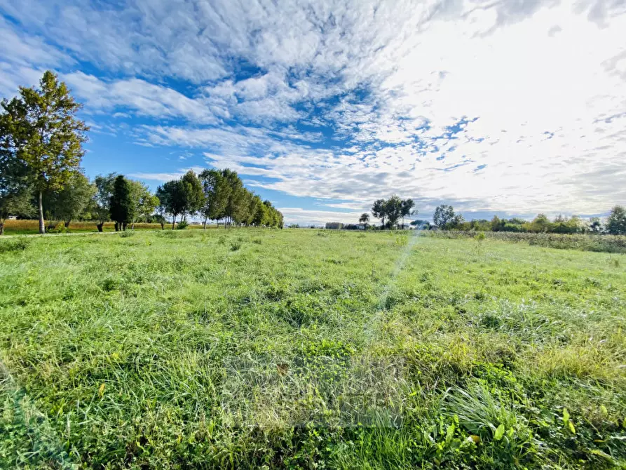Immagine 5 di Terreno in vendita  in via pelosa 152 a Borgoricco