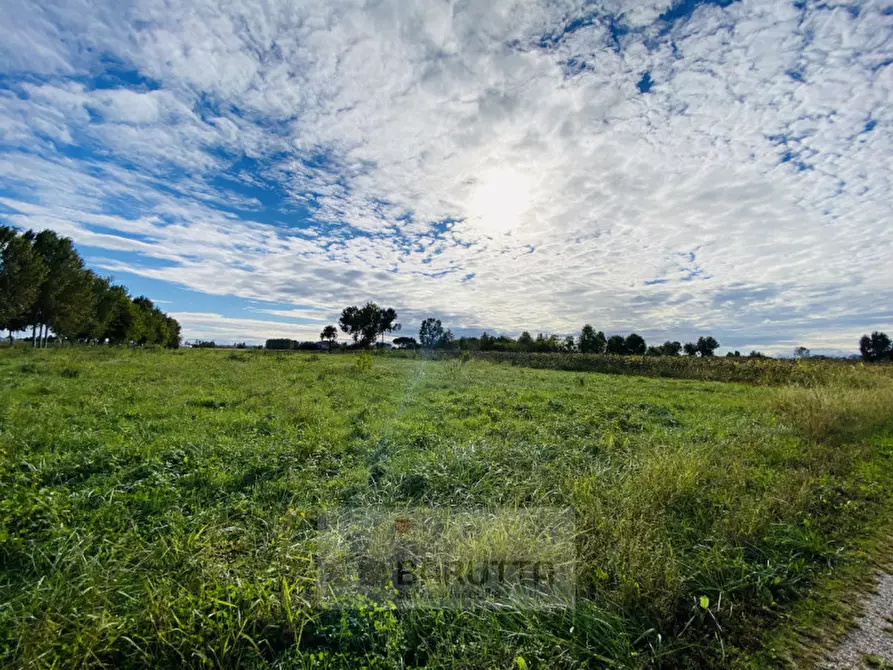 Immagine 6 di Terreno in vendita  in via pelosa 152 a Borgoricco