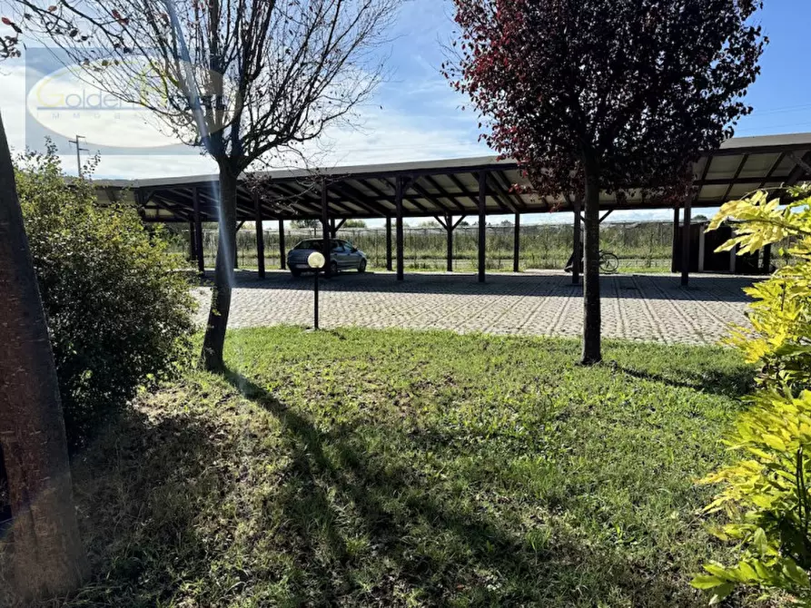 Immagine 14 di Appartamento in vendita  in Stradone Marmorta 25 a Molinella