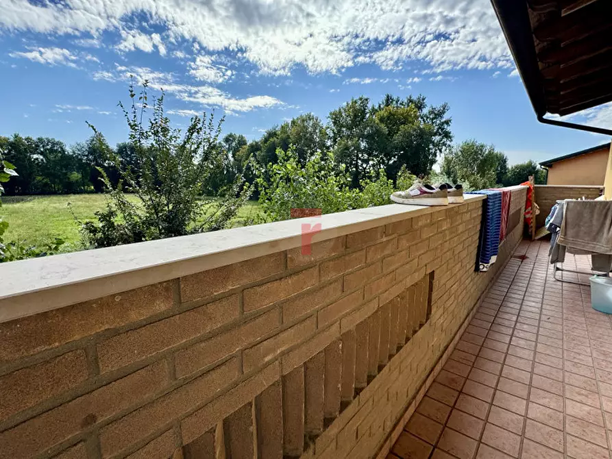 Immagine 5 di Appartamento in vendita  in via trieste a San Giorgio Delle Pertiche