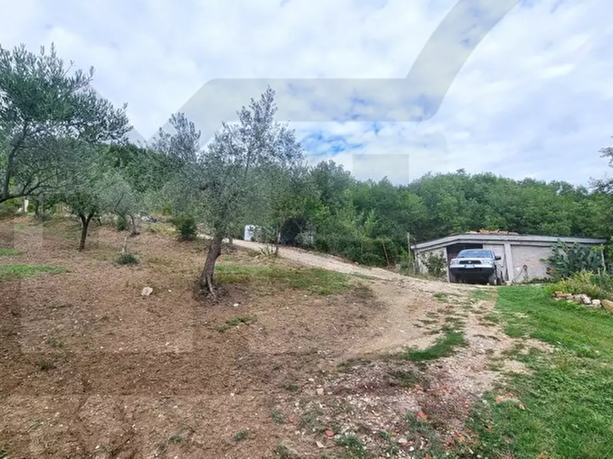 Immagine 3 di Rustico / casale in vendita  in via contrada inverse a Ripalimosani