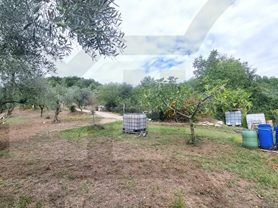 Immagine 4 di Rustico / casale in vendita  in via contrada inverse a Ripalimosani