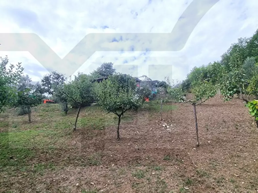 Immagine 7 di Rustico / casale in vendita  in via contrada inverse a Ripalimosani