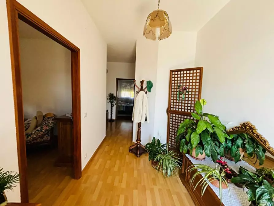 Immagine 2 di Appartamento in vendita  a Badia Polesine