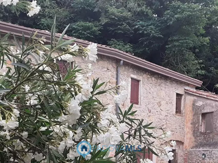 Immagine 5 di Rustico / casale in vendita  in Via Ca Mariani a Vo