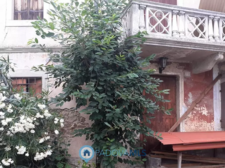 Immagine 7 di Rustico / casale in vendita  in Via Ca Mariani a Vo