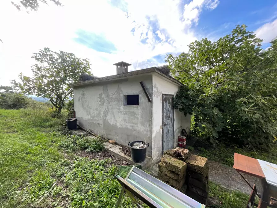 Immagine 12 di Casa indipendente in vendita  a Ostra