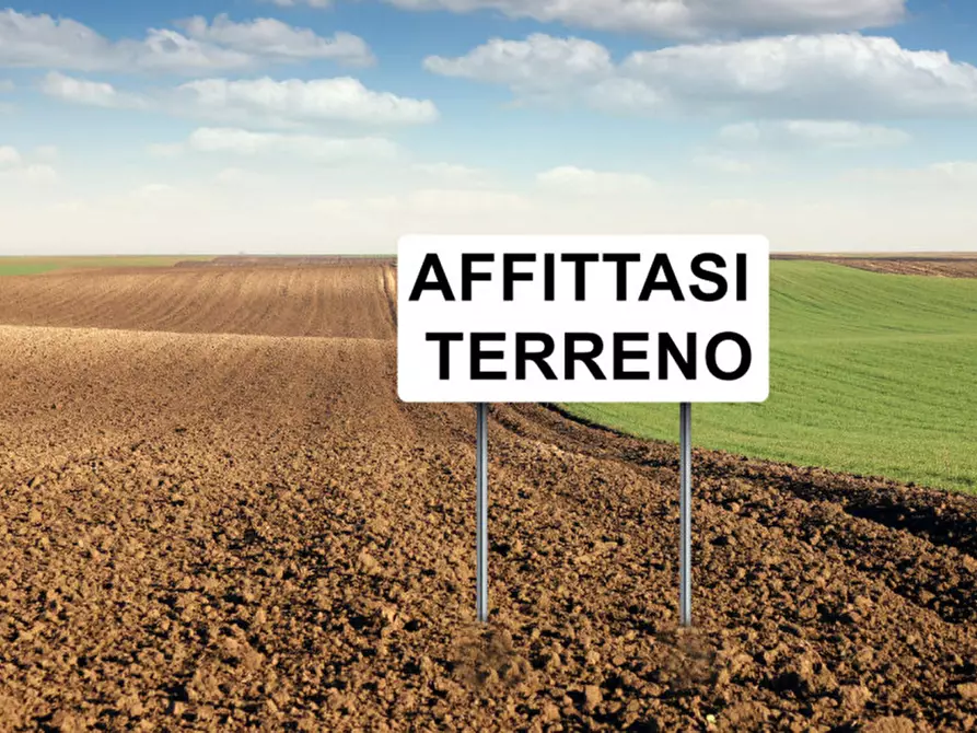 Immagine 4 di Terreno in affitto  in via cavour 79 a Este