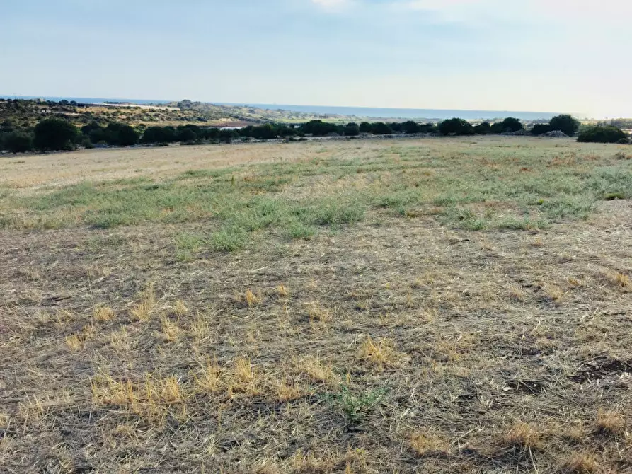 Immagine 1 di Terreno in affitto  a Modica