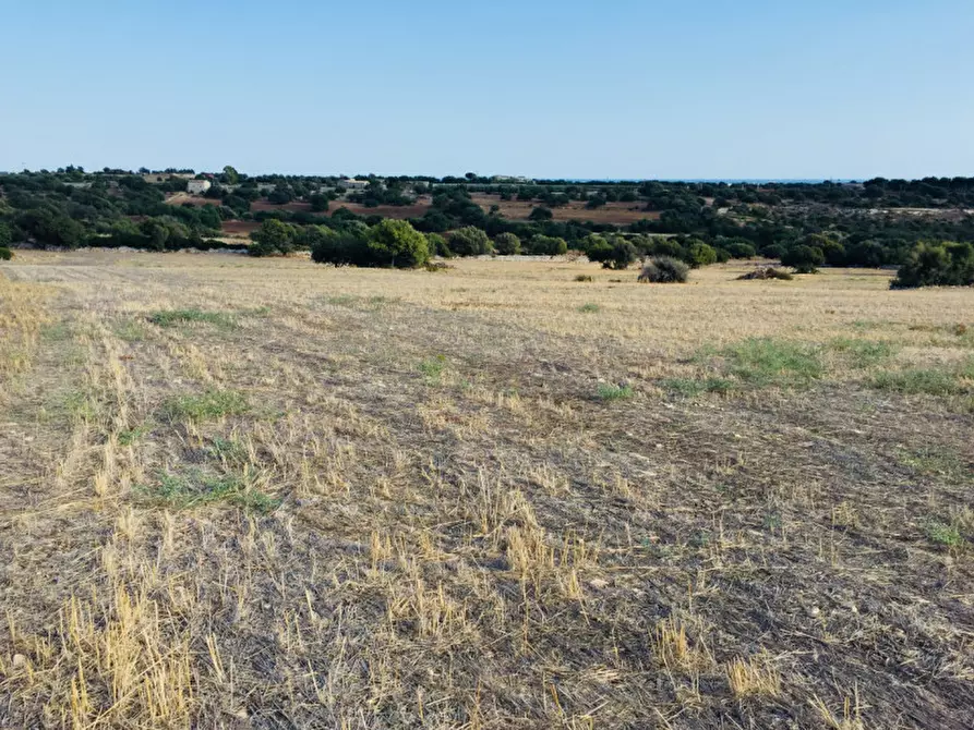 Immagine 5 di Terreno in affitto  a Modica