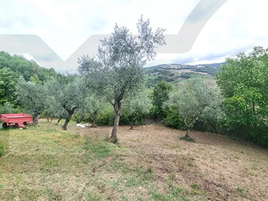 Immagine 6 di Terreno in vendita  in via contrada inverse a Ripalimosani