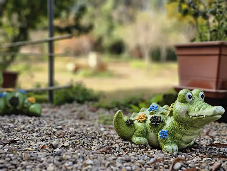 Immagine 7 di Villa in vendita  in Località il Cappuccino a Capranica
