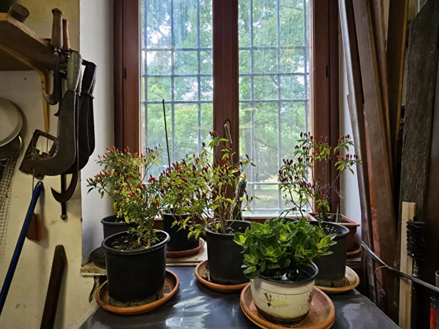 Immagine 29 di Villa in vendita  in Località il Cappuccino a Capranica