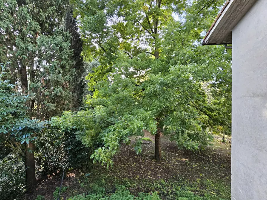 Immagine 43 di Villa in vendita  in Località il Cappuccino a Capranica