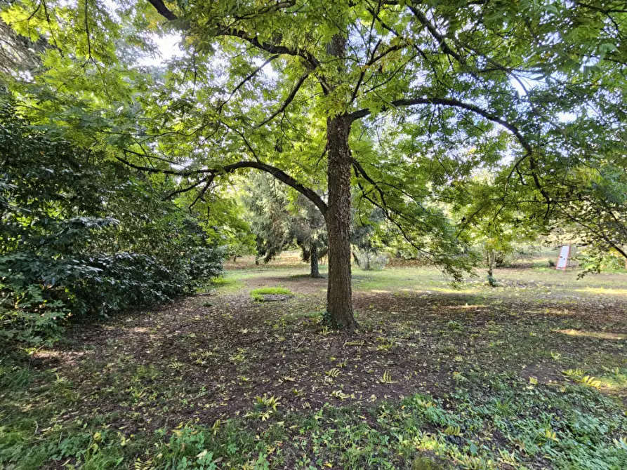 Immagine 78 di Villa in vendita  in Località il Cappuccino a Capranica
