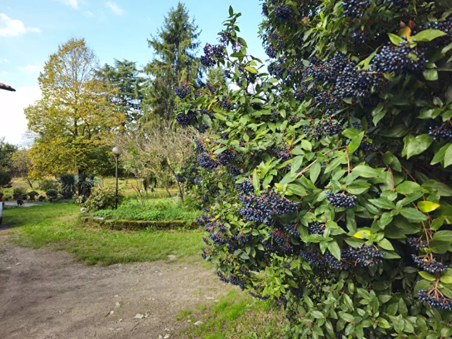 Immagine 80 di Villa in vendita  in Località il Cappuccino a Capranica